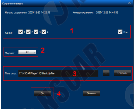 Выбор каналов записи для сохранения видео в приложении NSCAR Player
